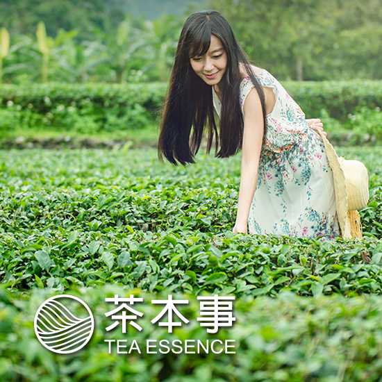 茶本事 Tea essence